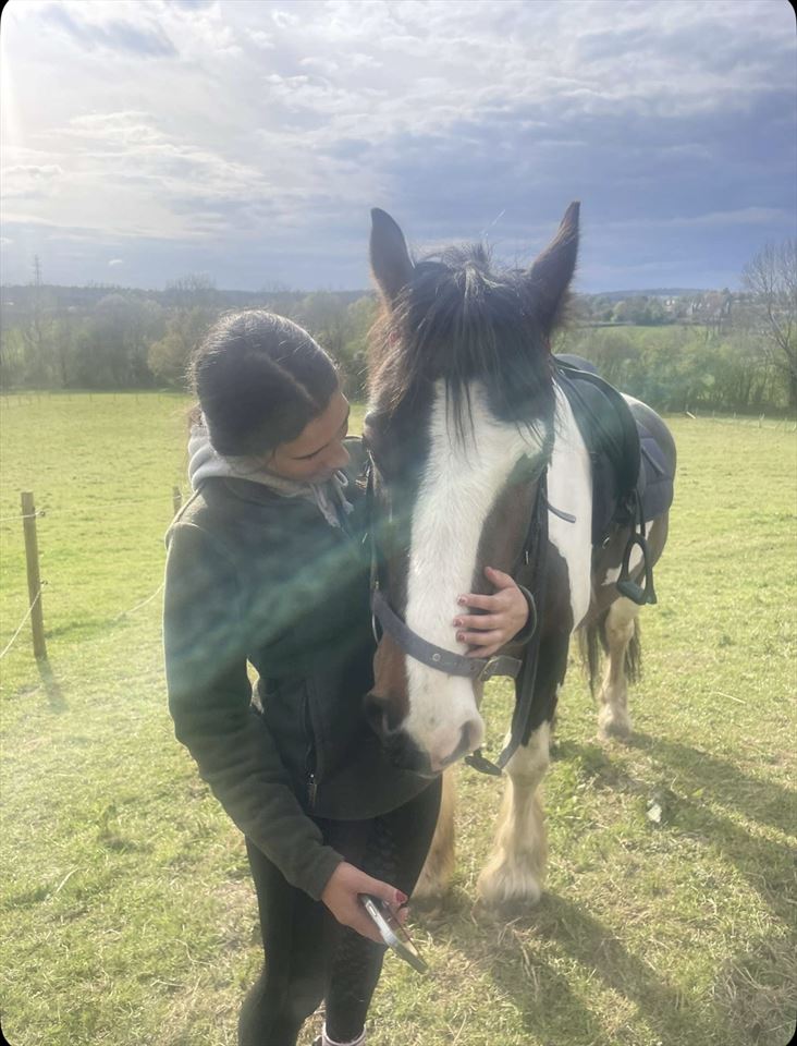 Equestrian Jobseeker Photo: