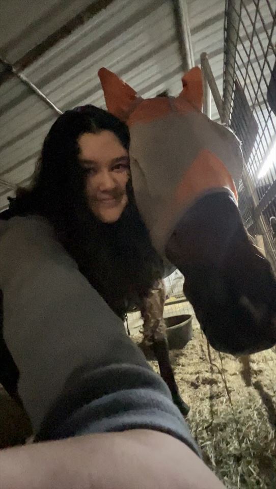 Equestrian Jobseeker Photo: