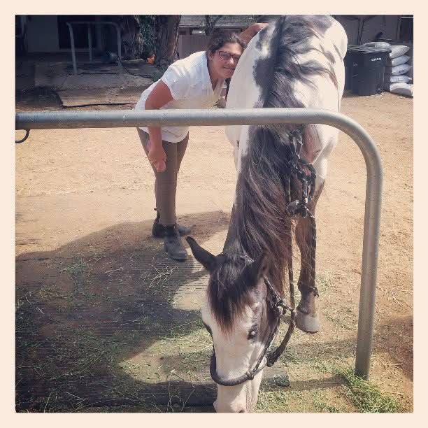 Equestrian Jobseeker Photo: