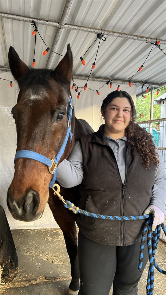 Equestrian Jobseeker Photo: