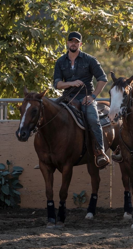 Equestrian Jobseeker Photo: