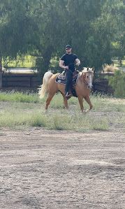 Equestrian Jobseeker Photo: