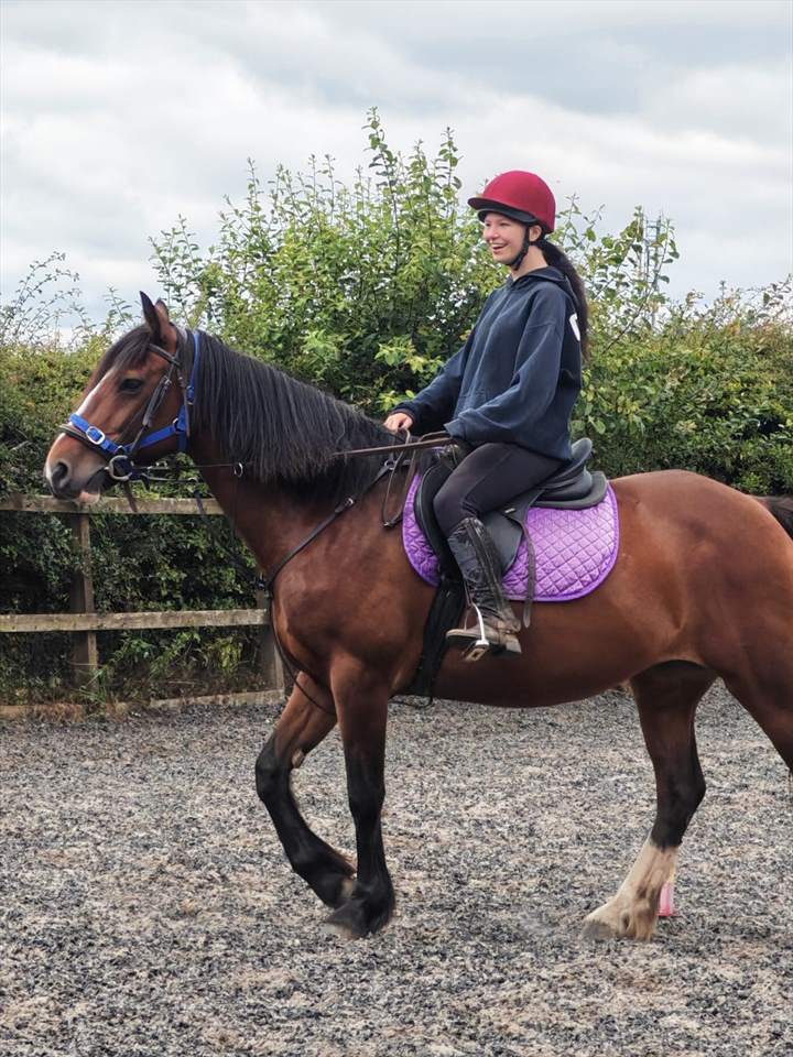 Equestrian Jobseeker Photo: