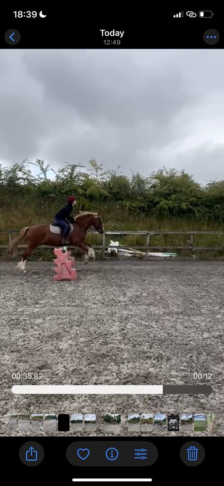 Equestrian Jobseeker Photo: