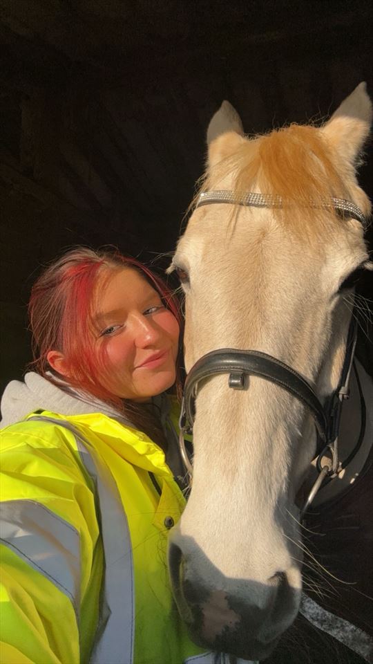 Equestrian Jobseeker Photo: