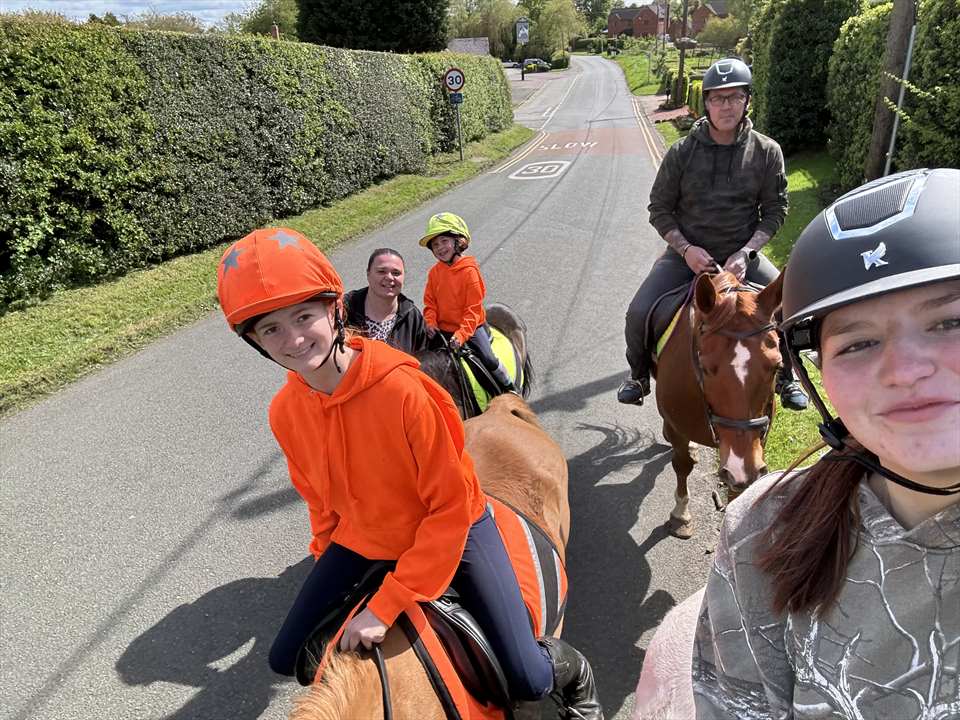 Equestrian Jobseeker Photo: