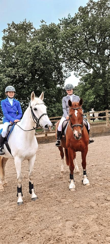 Equestrian Jobseeker Photo: