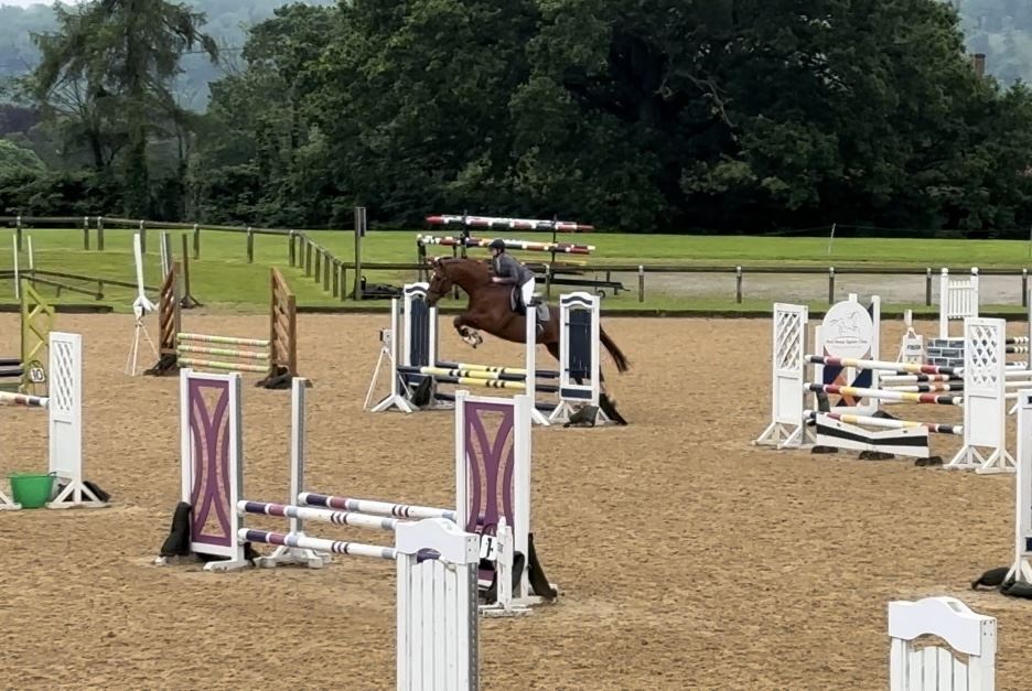 Equestrian Jobseeker Photo: