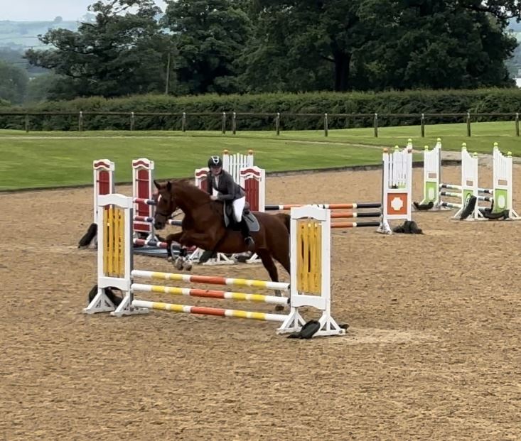 Equestrian Jobseeker Photo: