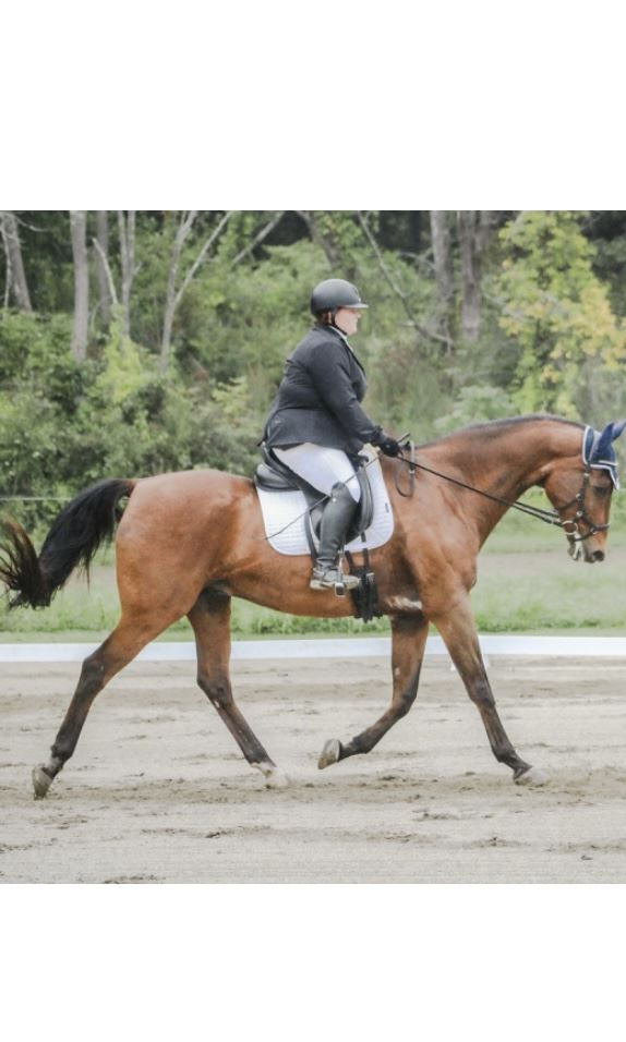 Equestrian Jobseeker Photo: