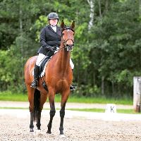 Equestrian Jobseeker Photo: