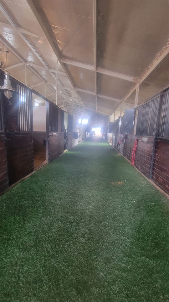 Equestrian Employer Photo:
