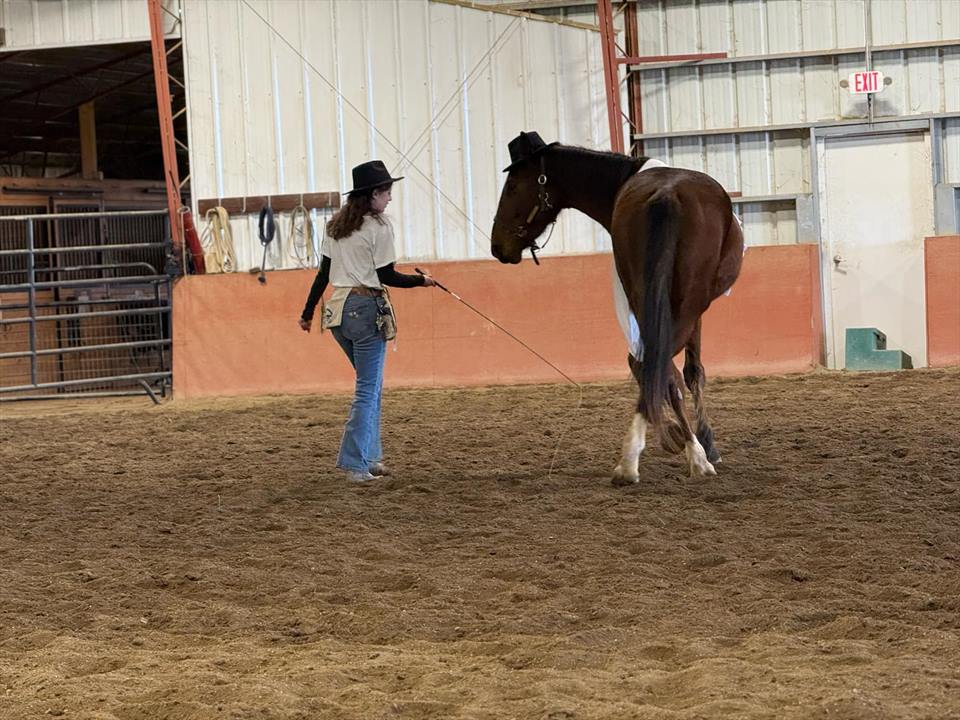 Equestrian Jobseeker Photo: