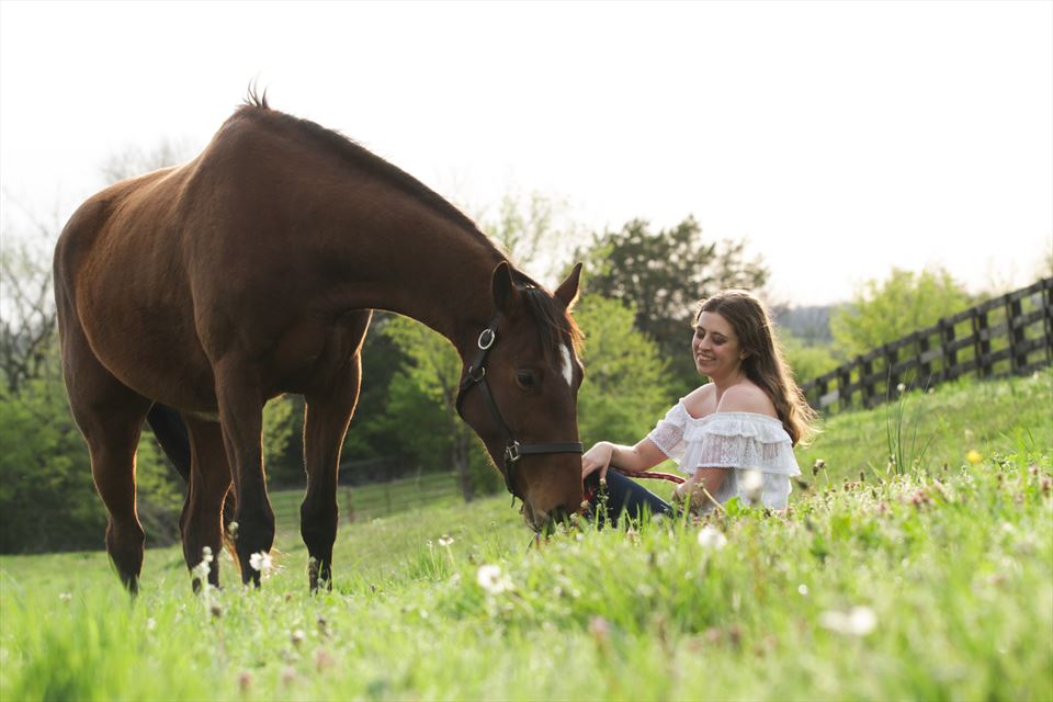 Equestrian Jobseeker Photo: