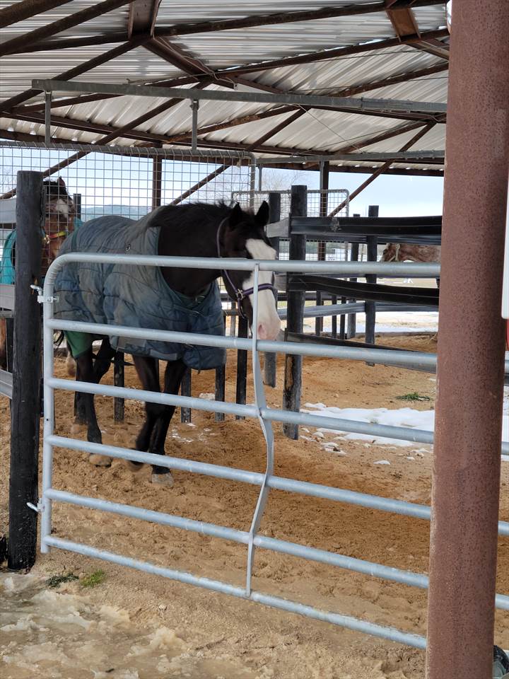 Equestrian Employer Photo: