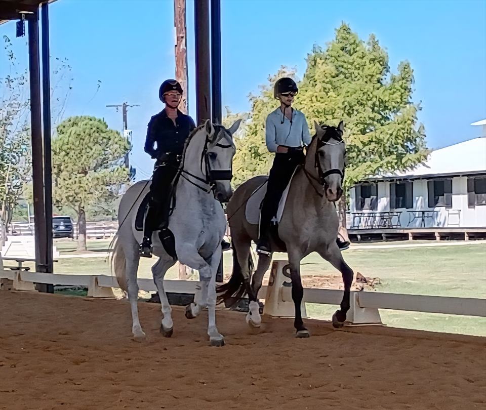 Equestrian Employer Photo: