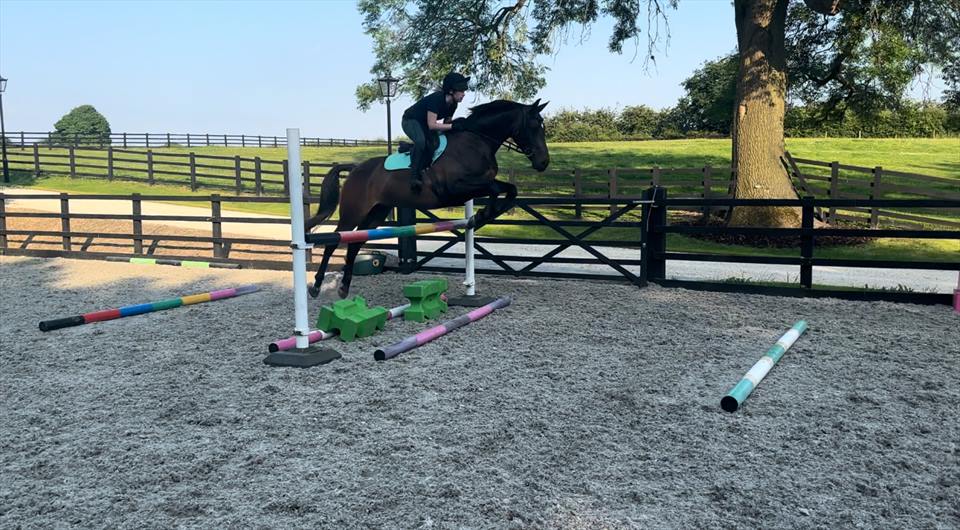 Equestrian Jobseeker Photo: