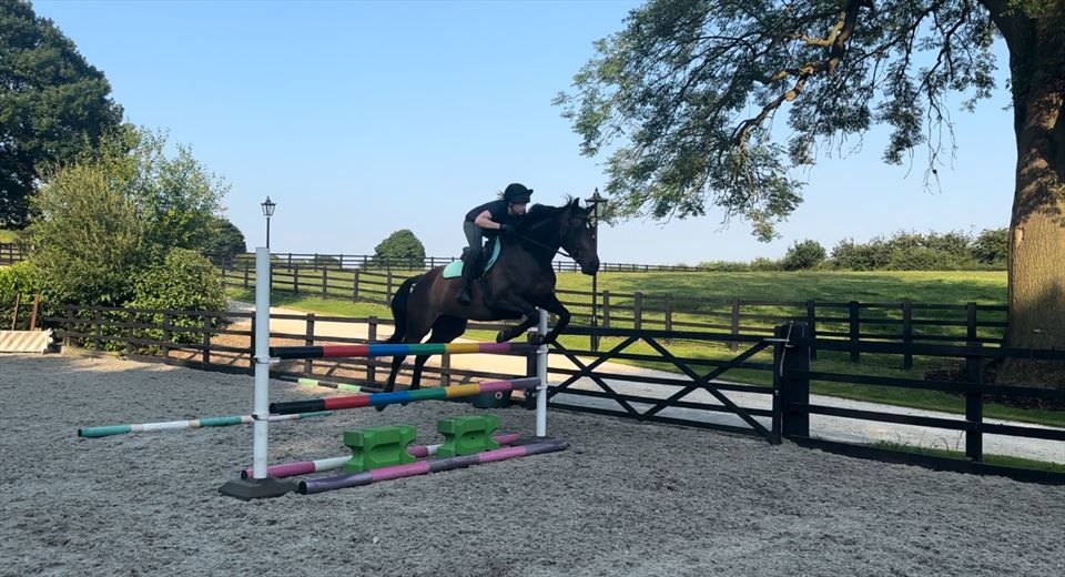 Equestrian Jobseeker Photo: