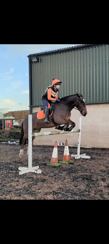 Equestrian Jobseeker Photo: