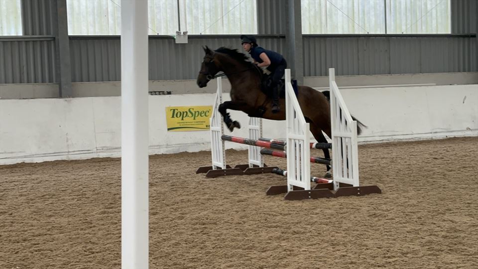 Equestrian Jobseeker Photo: