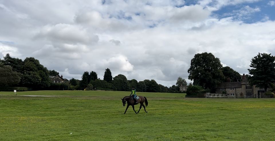 Equestrian Jobseeker Photo: