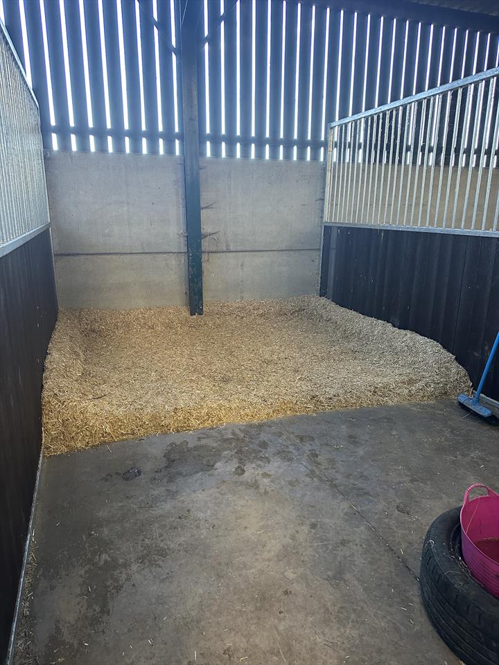 Equestrian Jobseeker Photo: