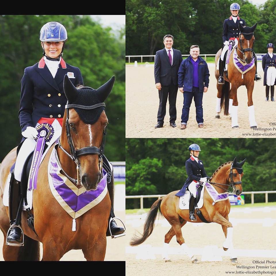 Equestrian Employer Photo: