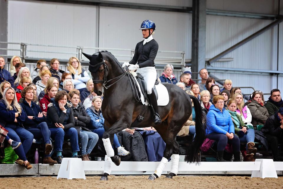 Equestrian Employer Photo: