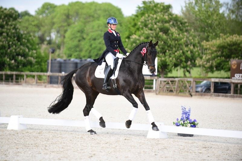 Equestrian Employer Photo: