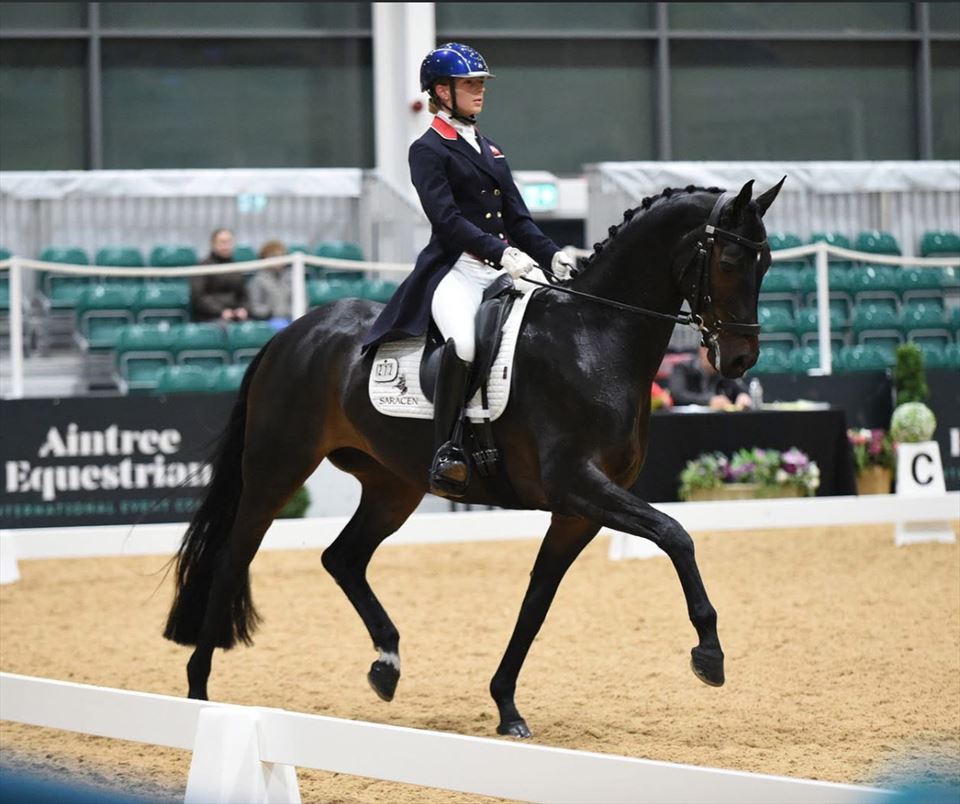 Equestrian Employer Photo: