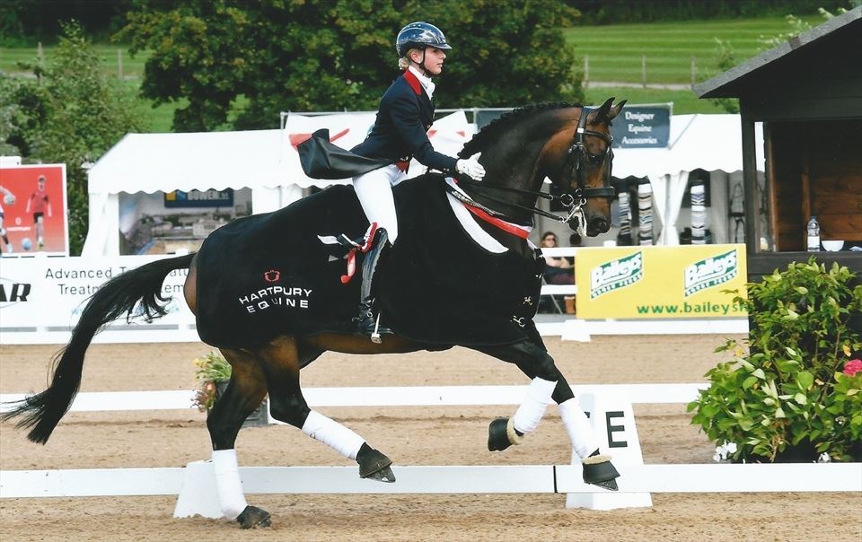 Equestrian Employer Photo: