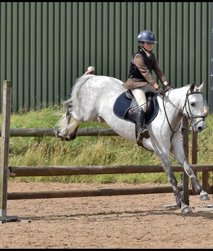 Equestrian Jobseeker Photo: