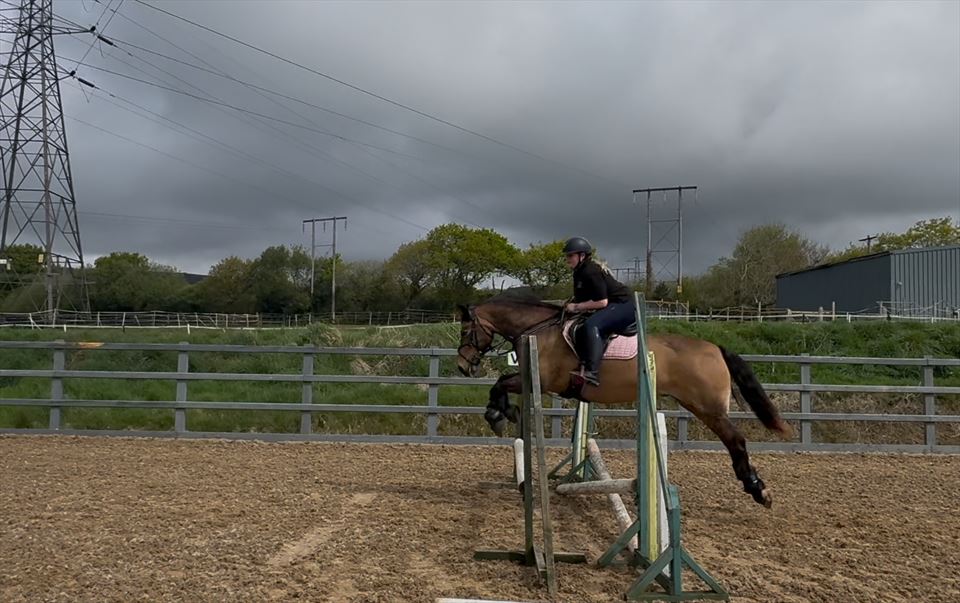 Equestrian Jobseeker Photo: