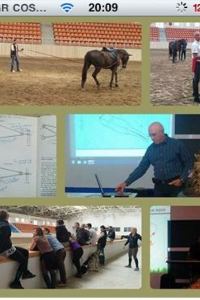 Equestrian Jobseeker Photo: