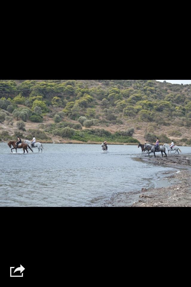 Equestrian Jobseeker Photo: