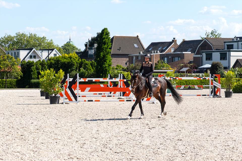 Equestrian Employer Photo: