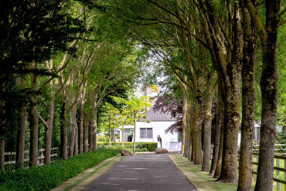 Equestrian Employer Photo: