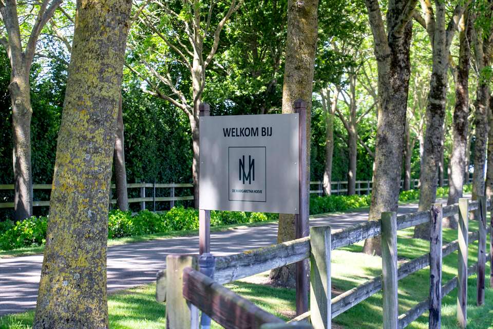 Equestrian Employer Photo: