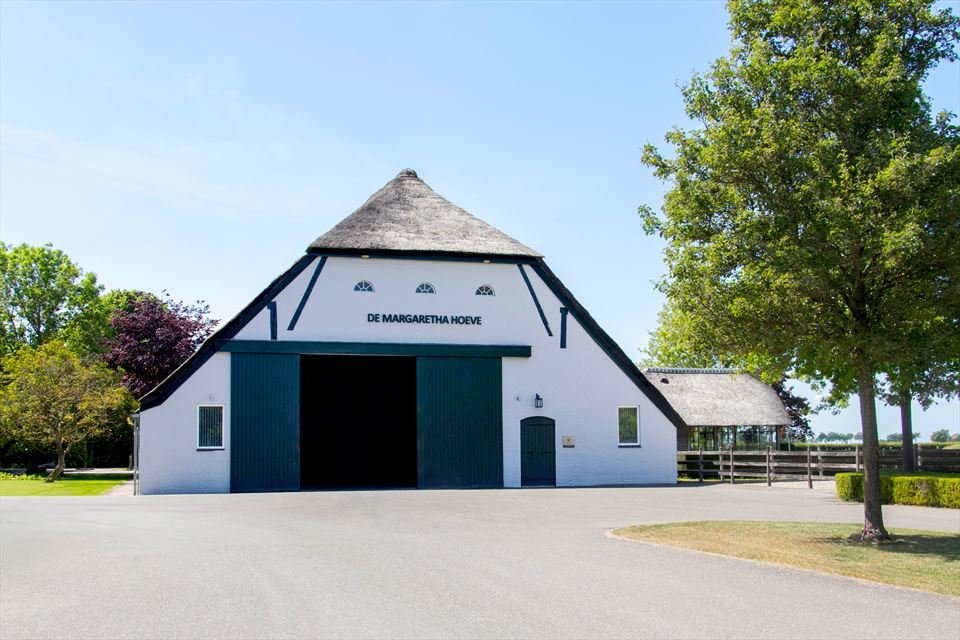 Equestrian Employer Photo: