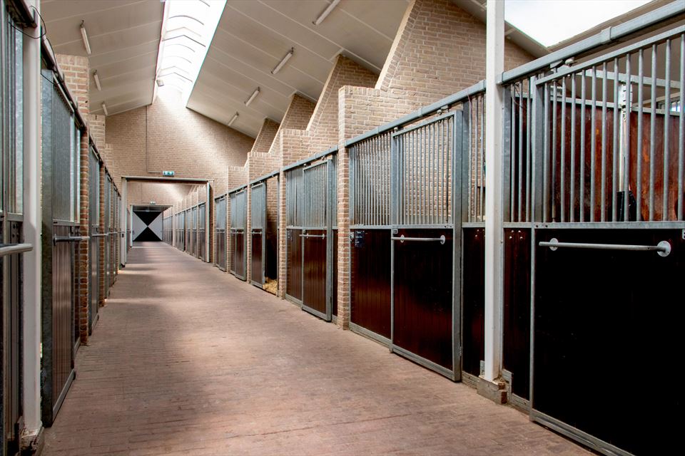 Equestrian Employer Photo: