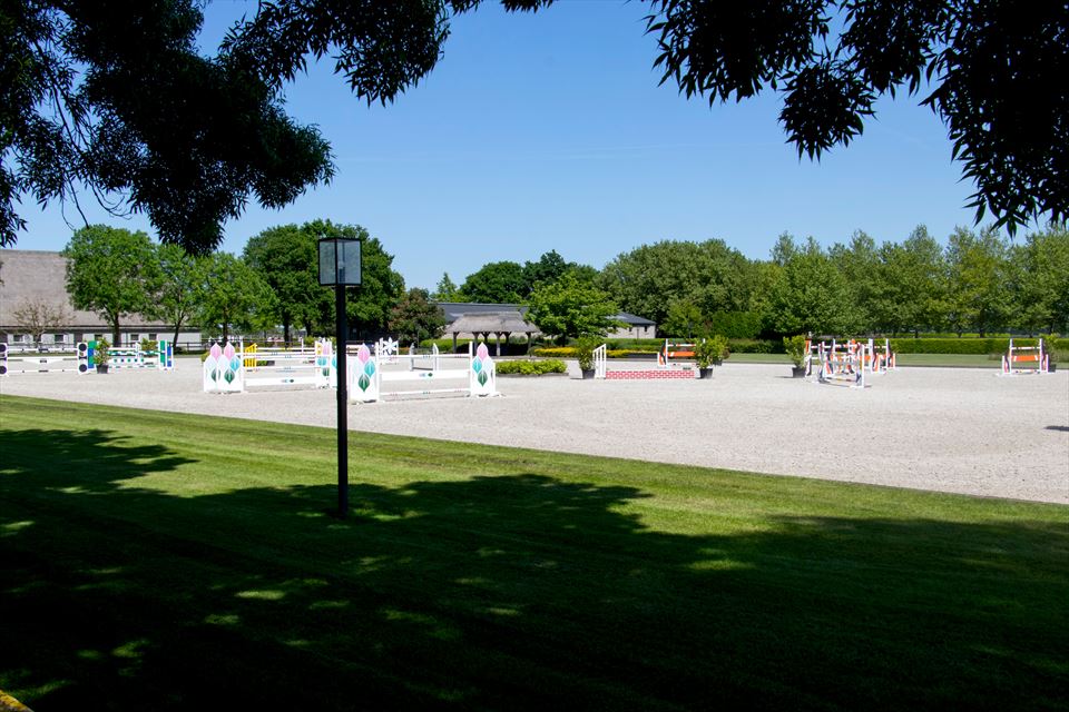 Equestrian Employer Photo: