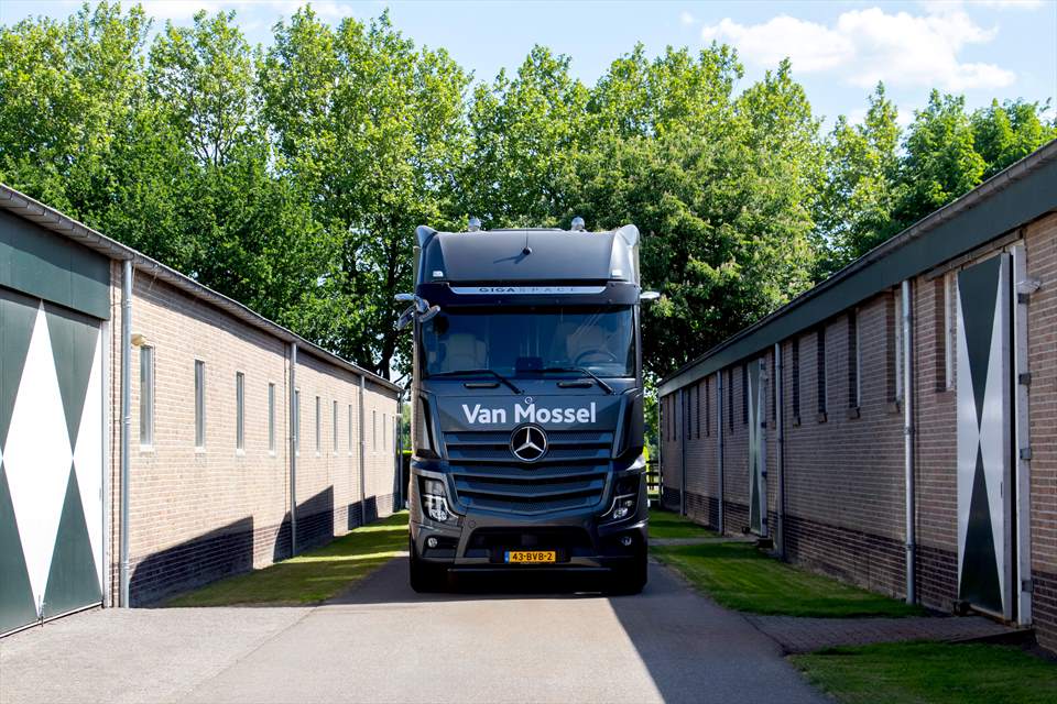 Equestrian Employer Photo: