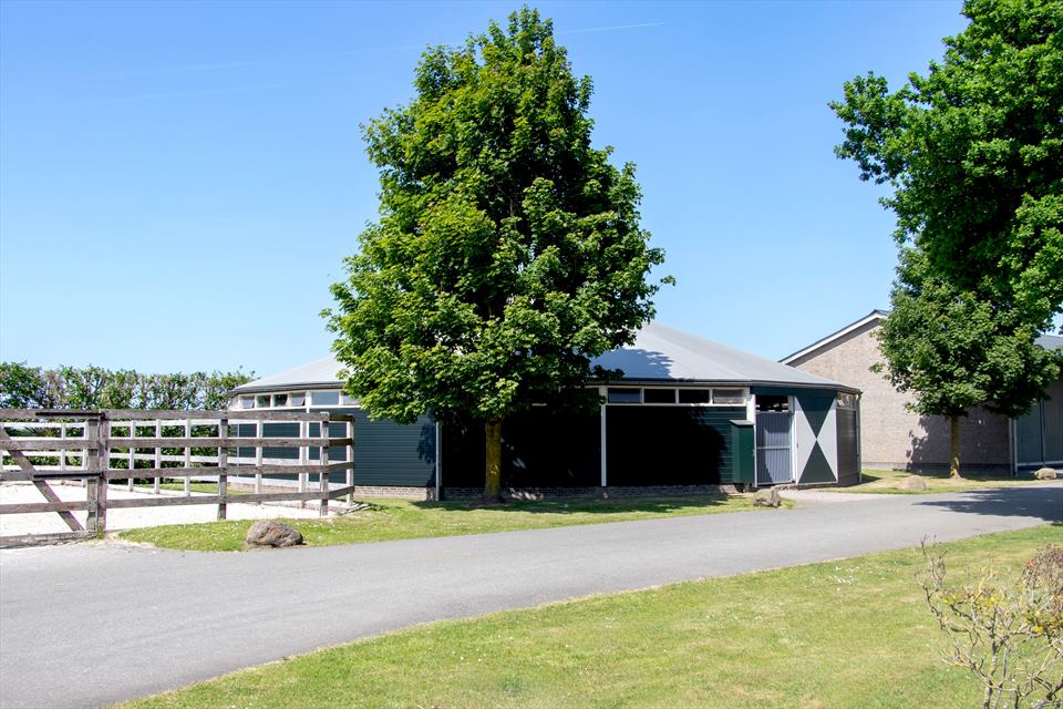 Equestrian Employer Photo: