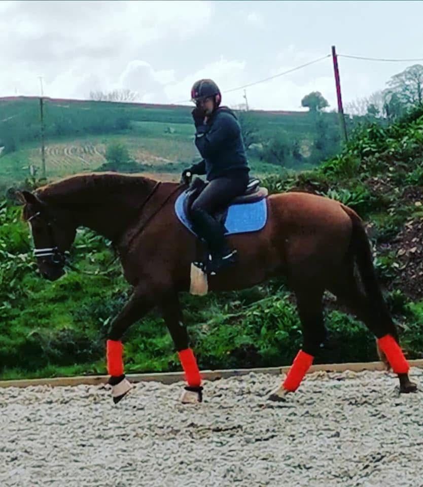 Equestrian Jobseeker Photo: