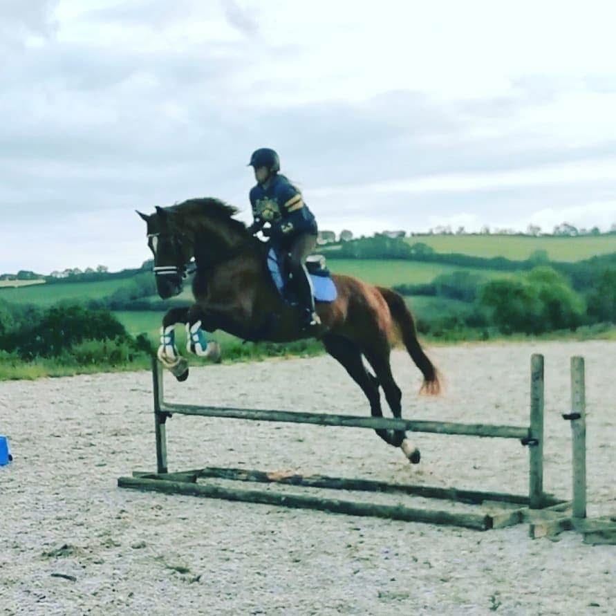 Equestrian Jobseeker Photo: