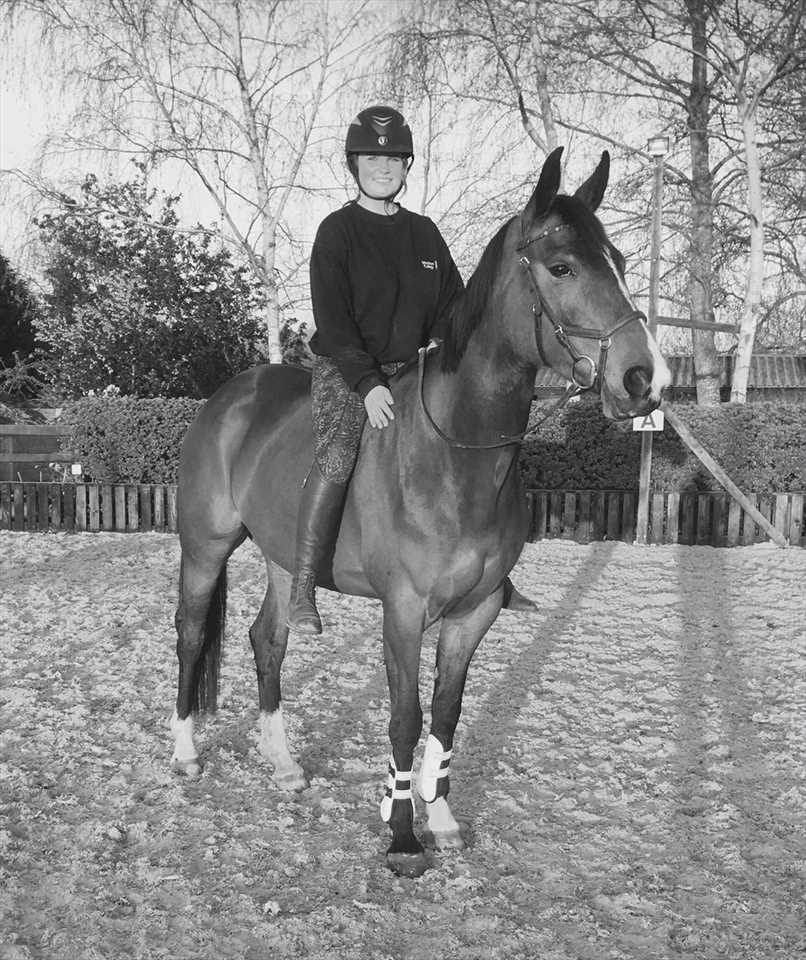 Equestrian Jobseeker Photo: