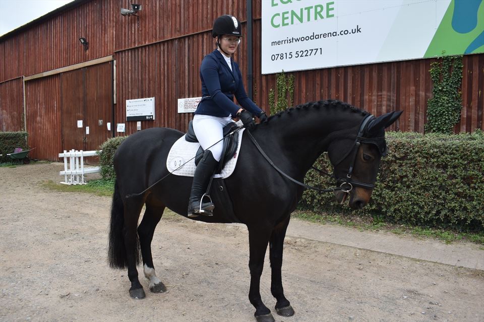 Equestrian Jobseeker Photo: