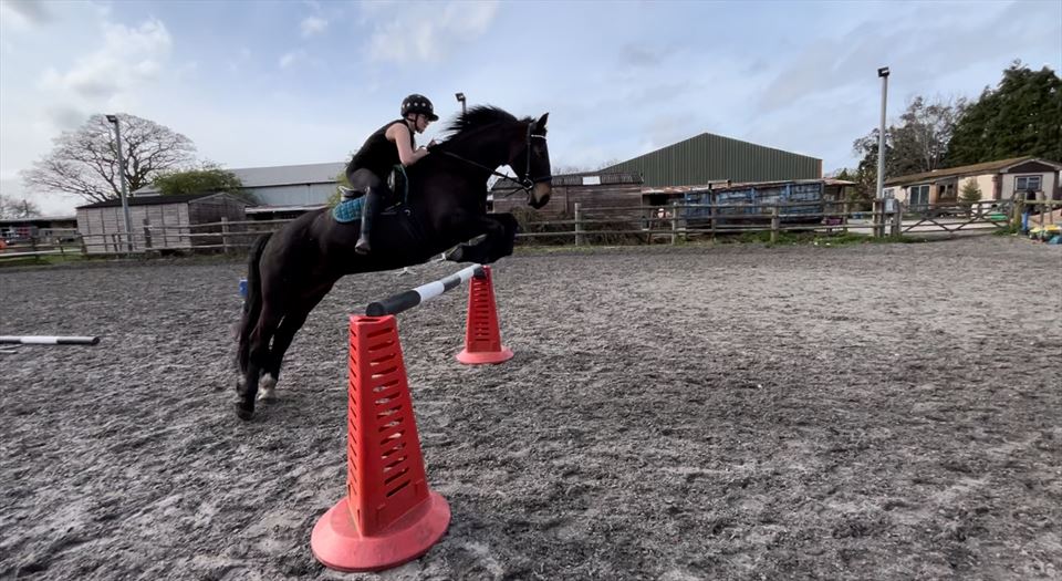 Equestrian Jobseeker Photo: