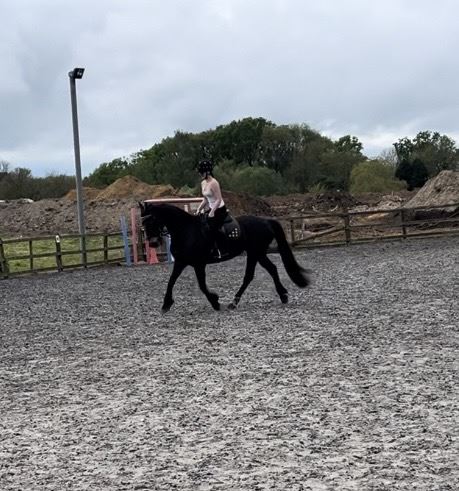 Equestrian Jobseeker Photo:
