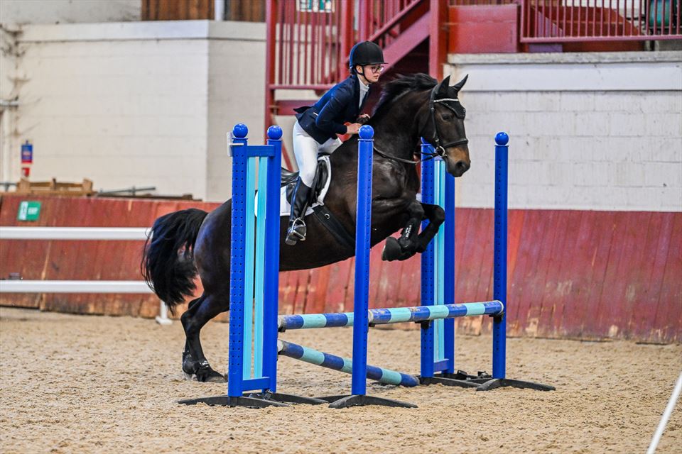 Equestrian Jobseeker Photo: